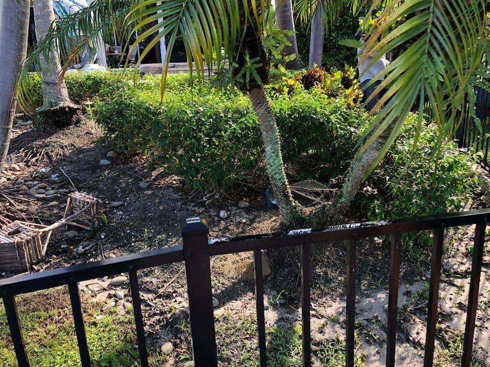 Before: an eroded, bare slope with debris behind a metal fence